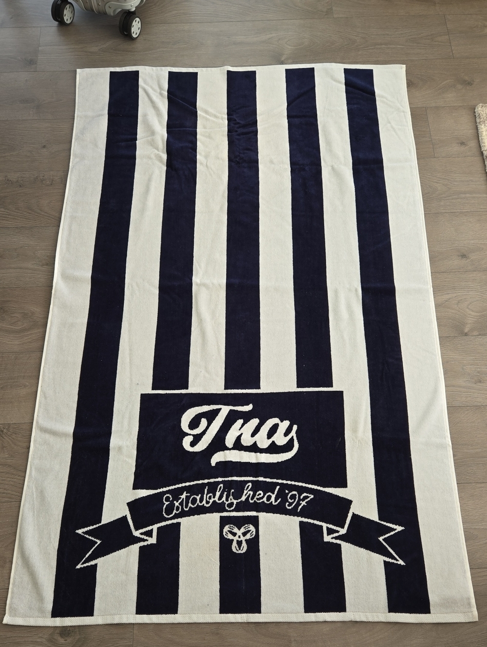 BNWOT TNA Pavillion Beach Towel
